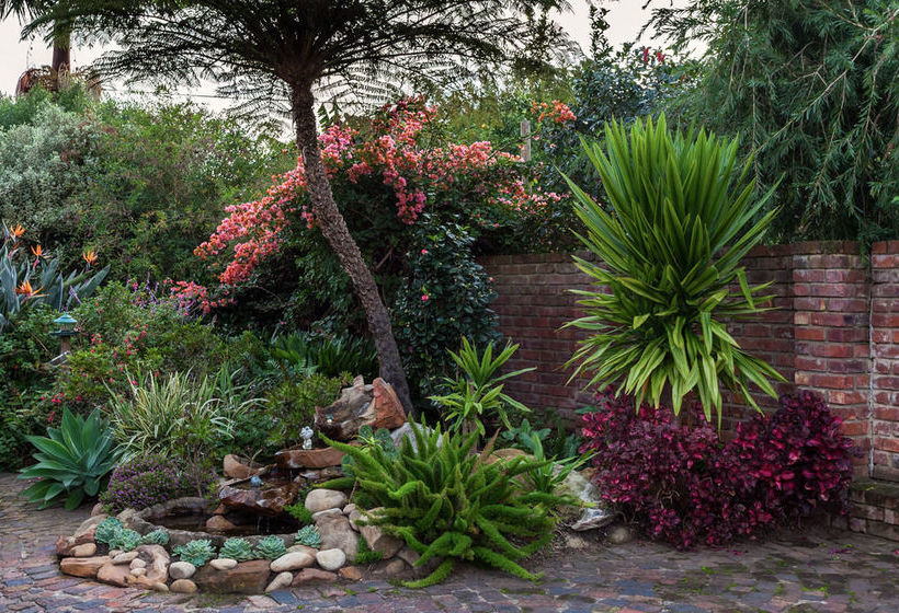 Bed and Breakfast Paradise Found 16