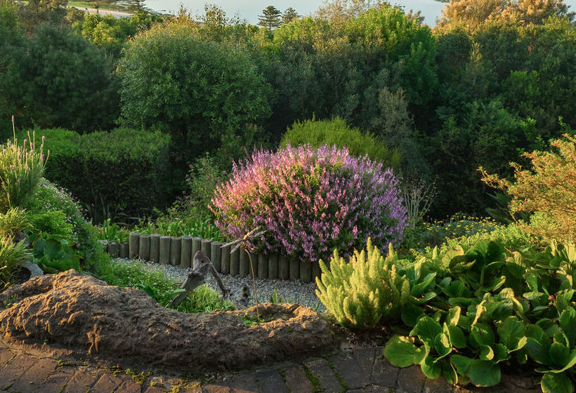 Bed and Breakfast Paradise Found 18