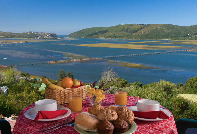 Bed and Breakfast Paradise Found 8