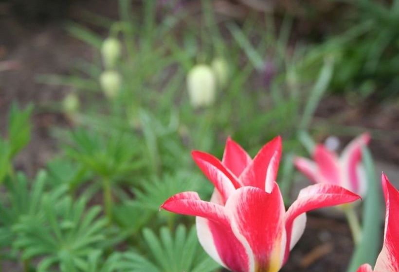 Pension Messezimmer4u 7