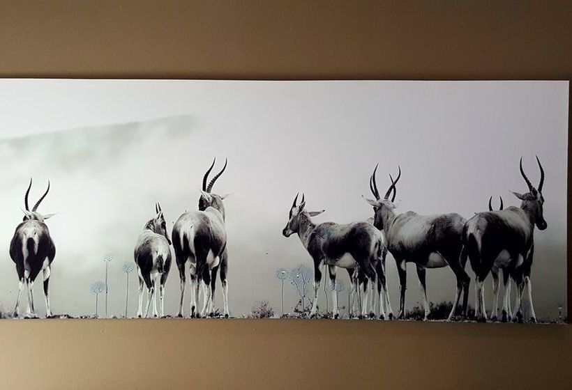 Pension Aerotropolis Guest Lodge 16