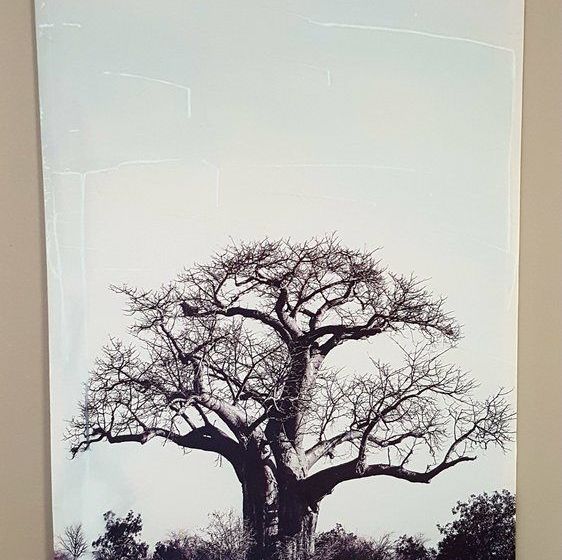 Pension Aerotropolis Guest Lodge 19