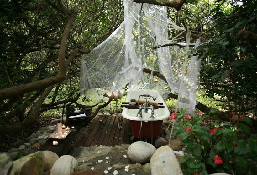 Kennedy's Beach Villa 20