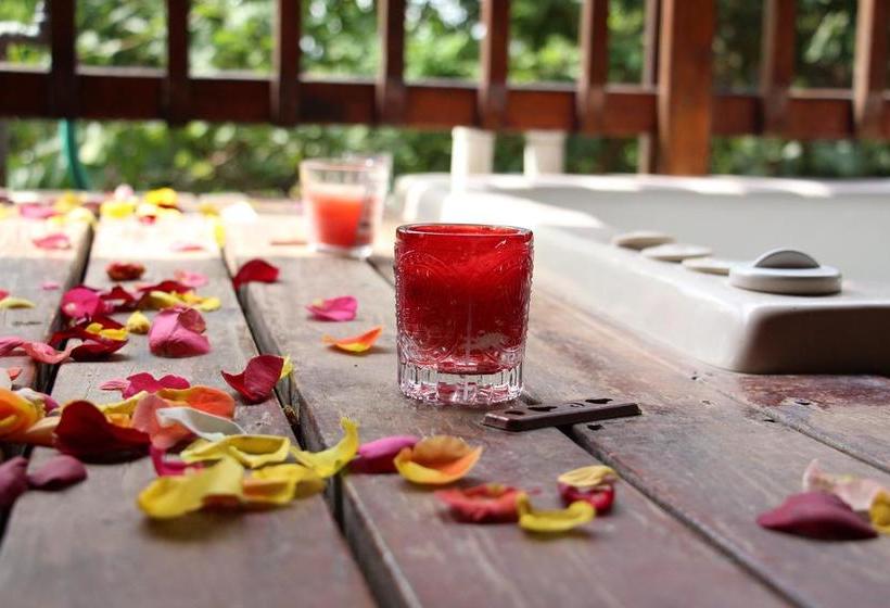 Thulamela Bed And Breakfast 14