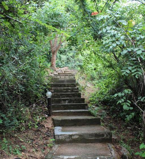 Thulamela Bed And Breakfast 19