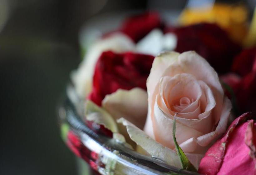 Thulamela Bed And Breakfast 2