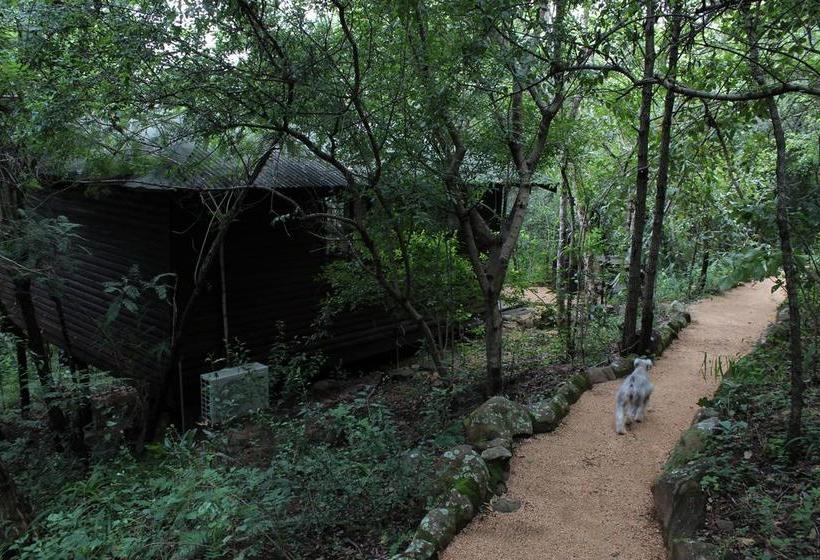 Thulamela Bed And Breakfast 4