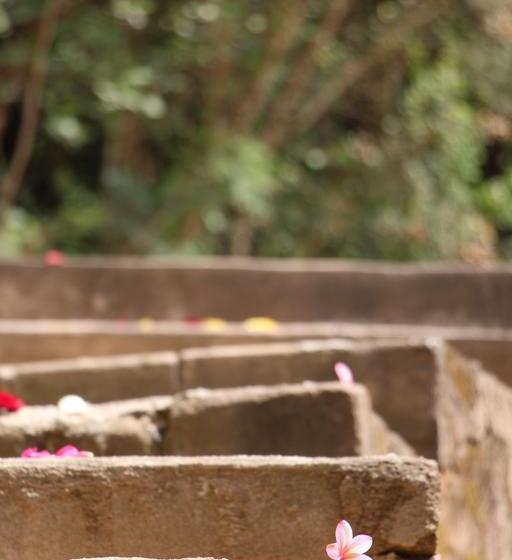 Thulamela Bed And Breakfast 5