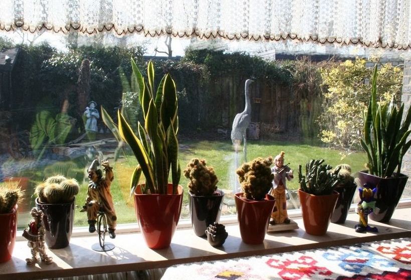 Messezimmer4u Nordparksiedlung 17