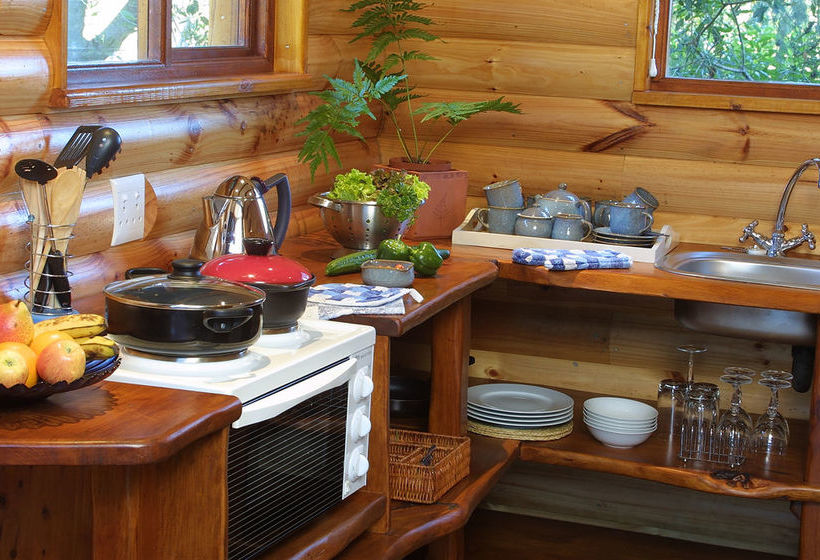 Hotel The Fernery Lodge & Chalets 14