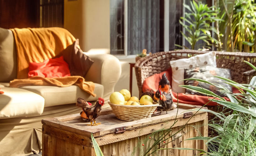 Addo Self Catering 19