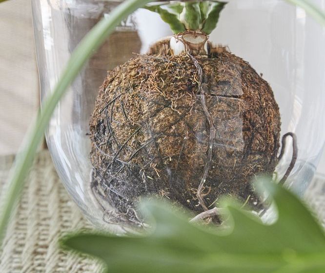 Antrim Luxury Apartment 506 16