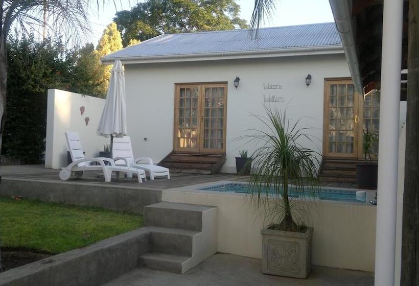 Hostel Oasis Shanti Backpackers 18