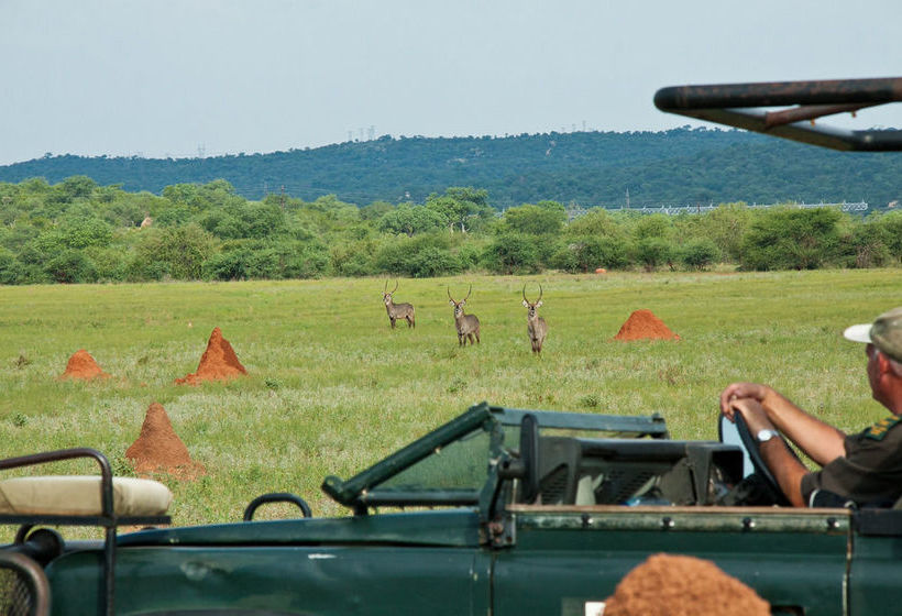 Hotel Casart Game Lodge 16