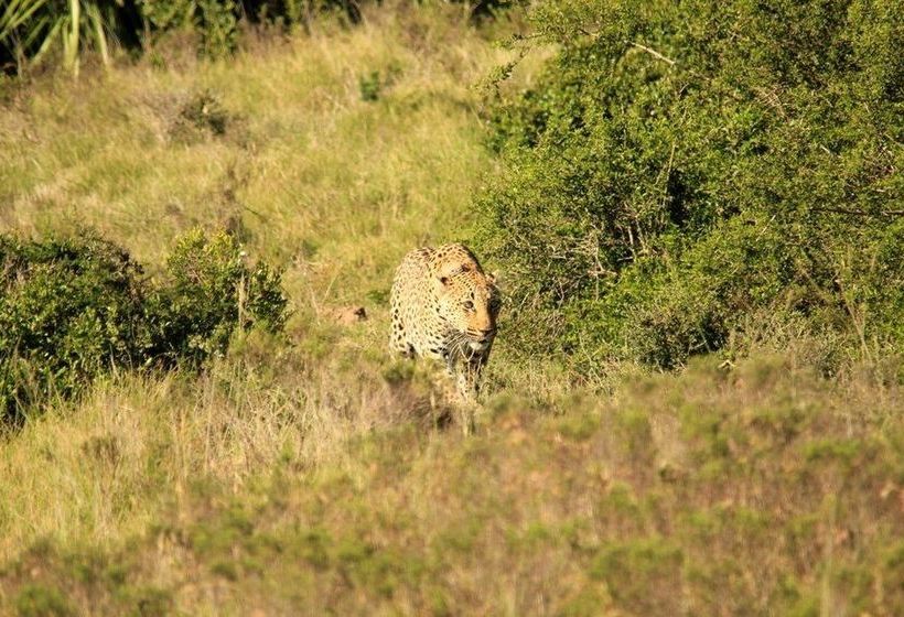 Hotel Quatermain's 1920's Safari Camp 9