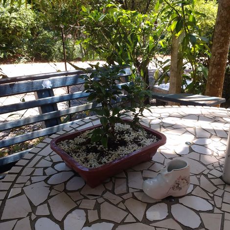 Hostel Dina  | Pomerode | Santa Catarina | Brasil 10