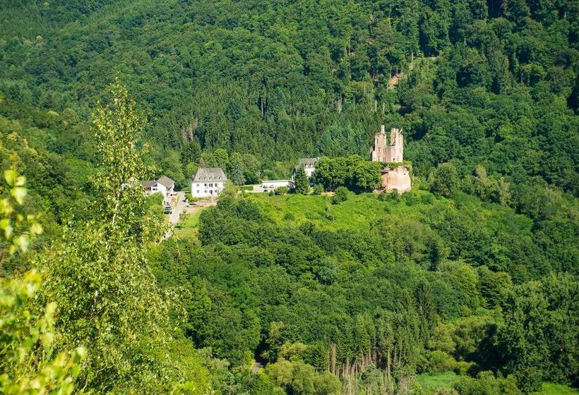 Kräuterhotel Villa Vontenie 6