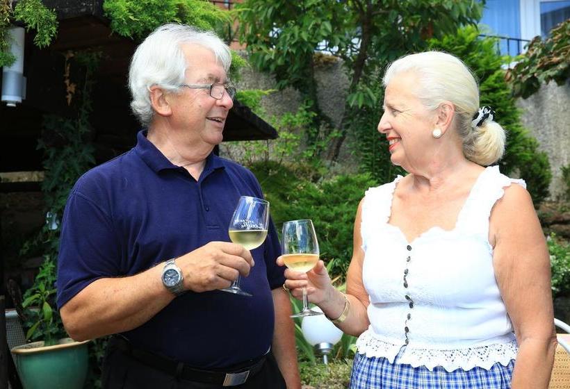 Hotel Pension Weinberg Mit Landhaus Nizza 14