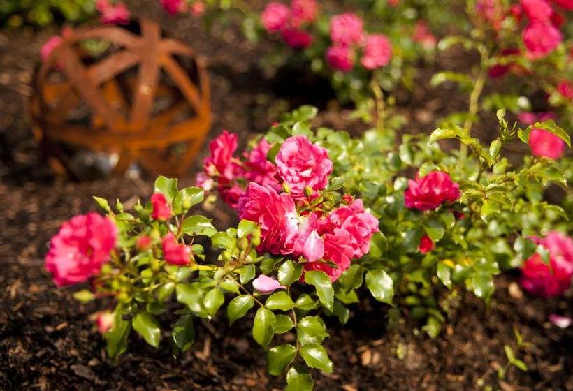 Hotel Vintage Am Bundesbankbunker 16