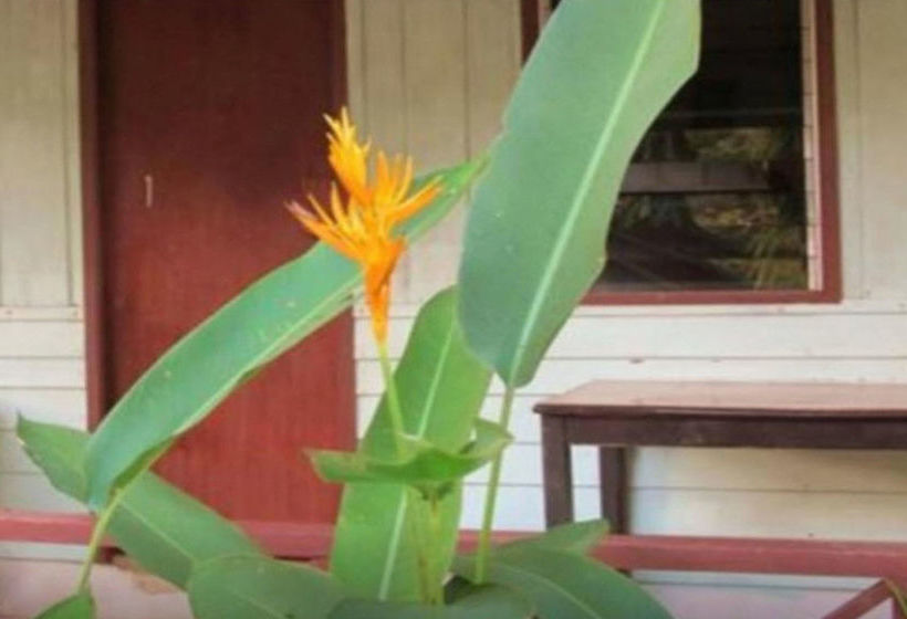 Hotel Jinda Resort 12