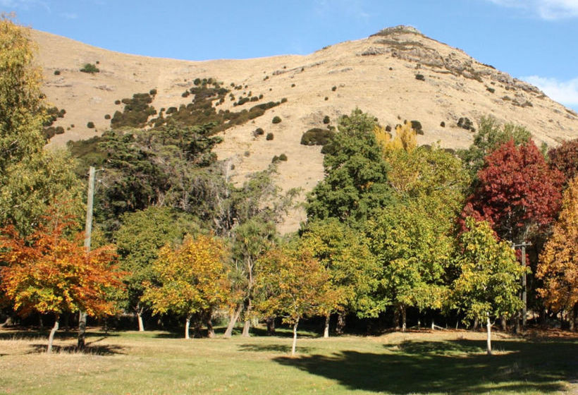Bed and Breakfast Kaituna Valley Homestead 14