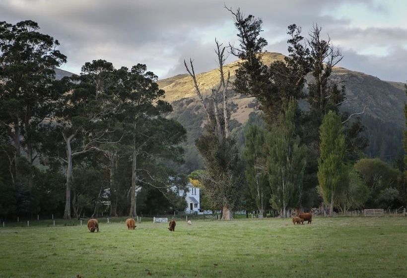 Bed and Breakfast Kaituna Valley Homestead 15