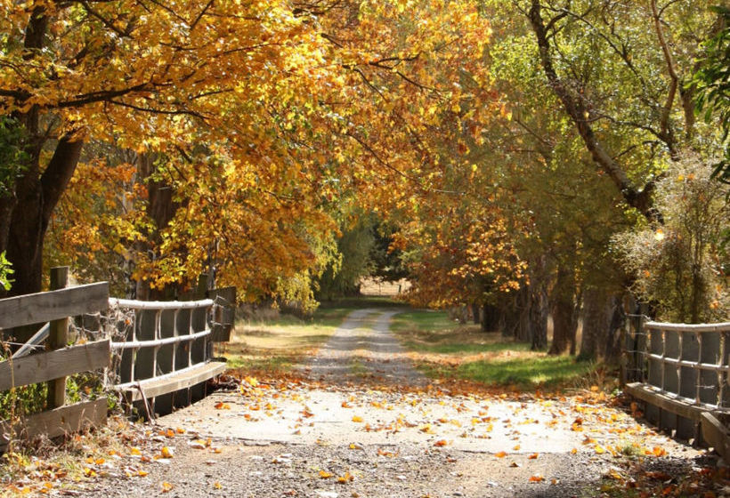 Bed and Breakfast Kaituna Valley Homestead 16