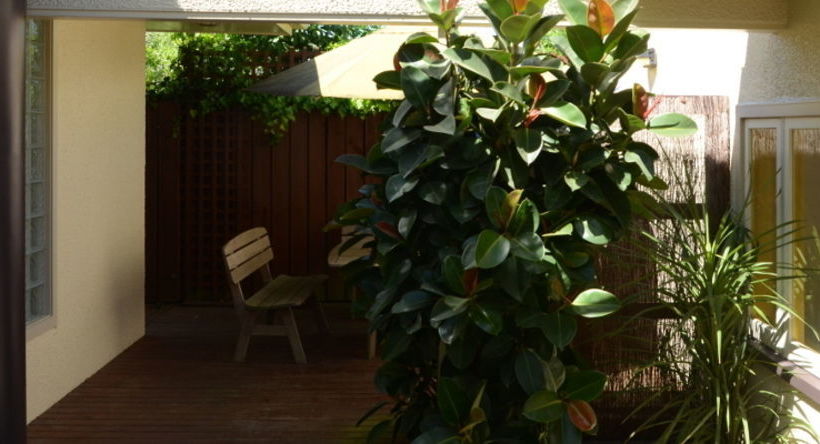 Hotel Penny S Accommodation 16