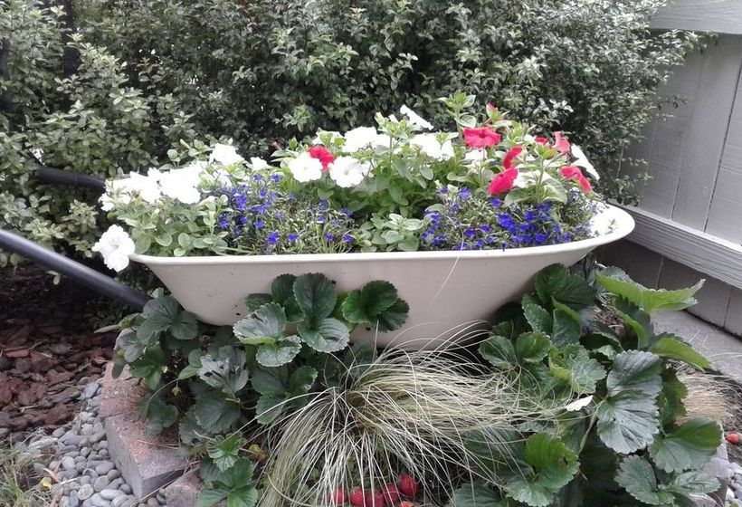 Pension Coeden Cottage 15