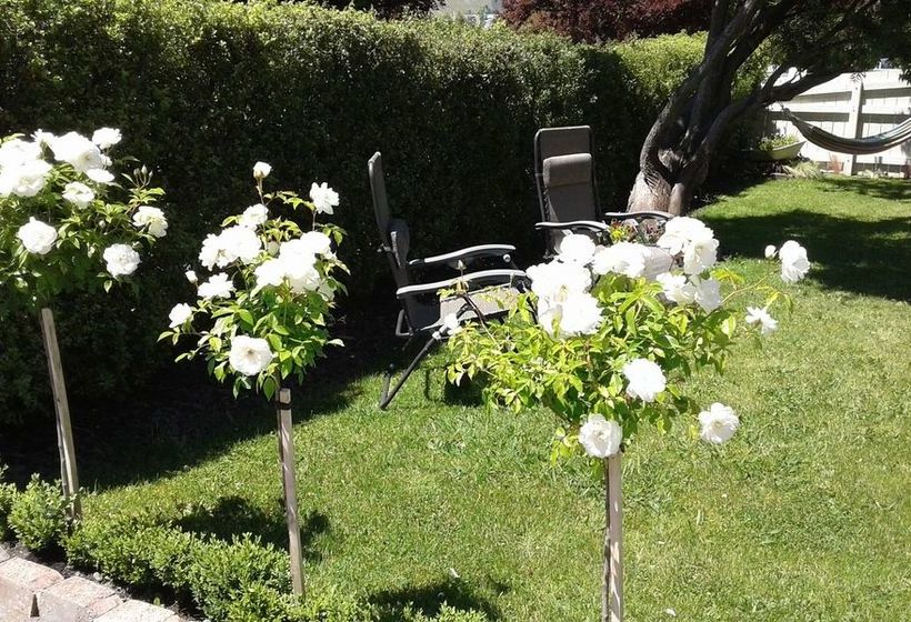 Pension Coeden Cottage 16