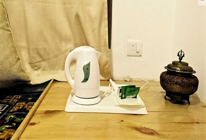 Hotel Hundar Resort Nubra 10