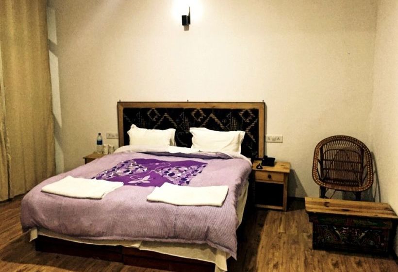 Hotel Hundar Resort Nubra 4