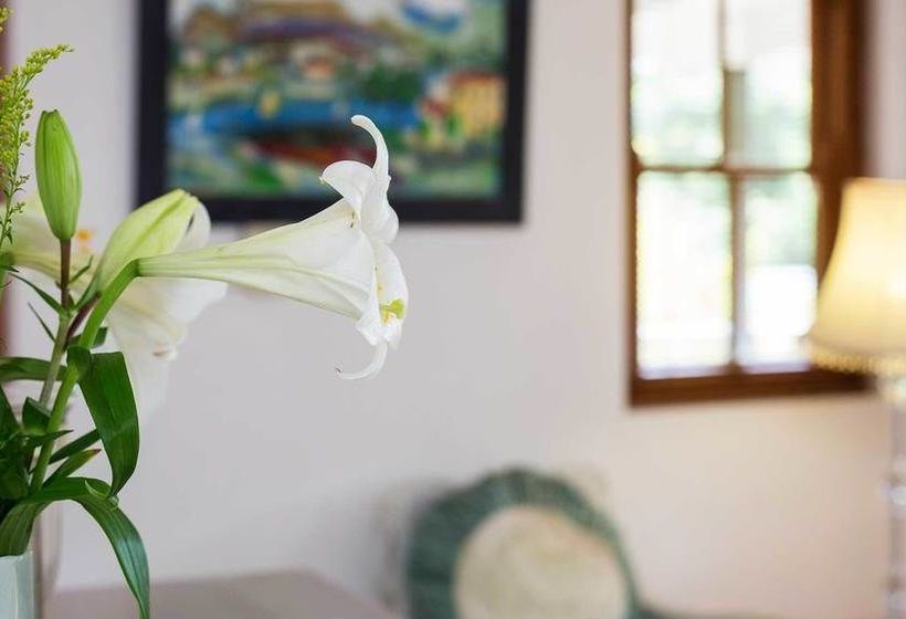 Pension Akademie Street Boutique Hotel & Guesthouses 10