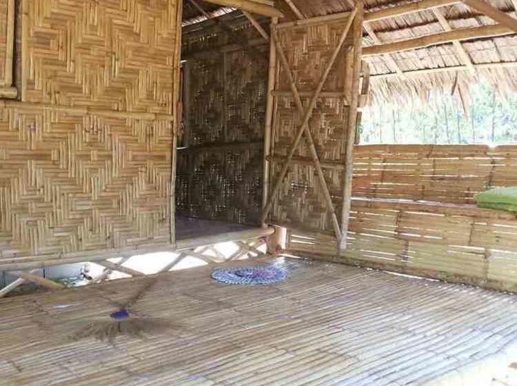 Hotel Cozy Cove Resort 12