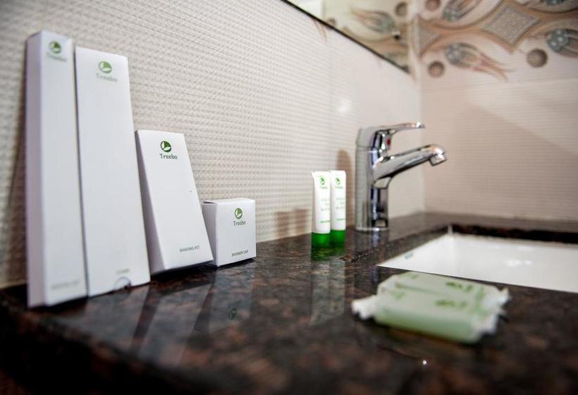 Hotel Treebo Pushkar Legacy 13