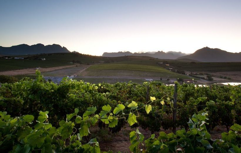 Brenaissance Wine & Stud Estate 20