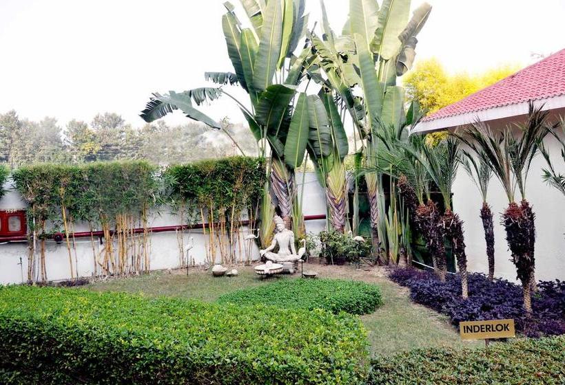 Regenta Resort Tarika 10