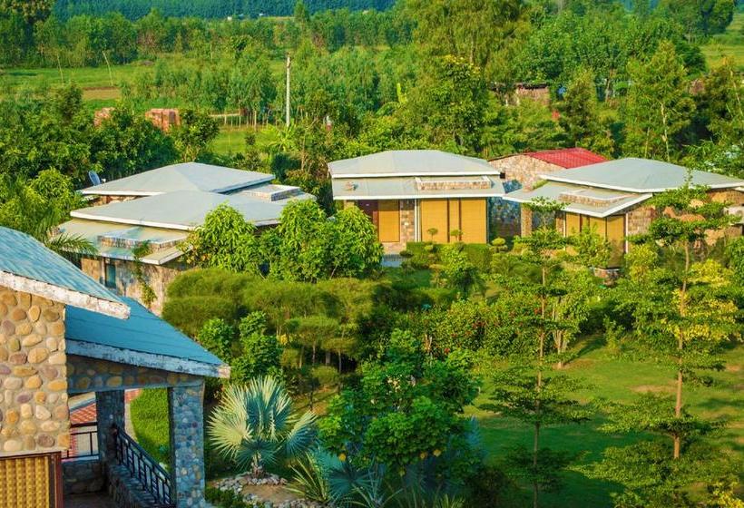 Hotel Parfait The Roar Resort 12