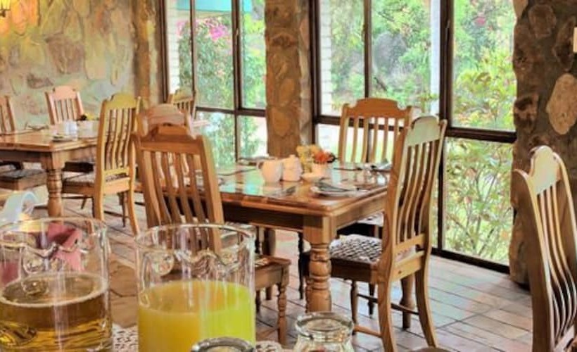 Pension The Palms Guesthouse 2