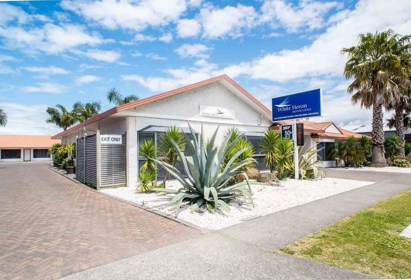 Motel White Heron Motor Lodge 4