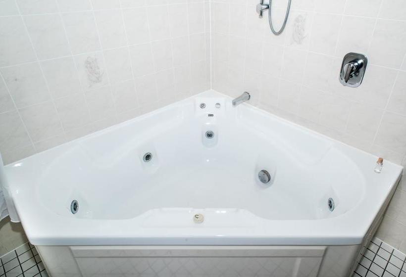 Motel White Heron Motor Lodge 8