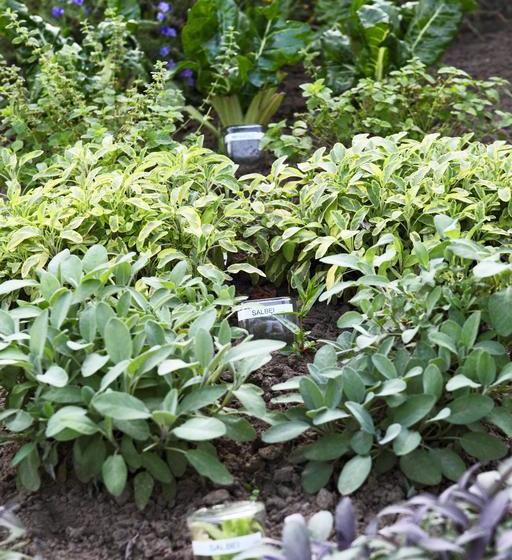 Landhotelrestaurant Beckmann 10