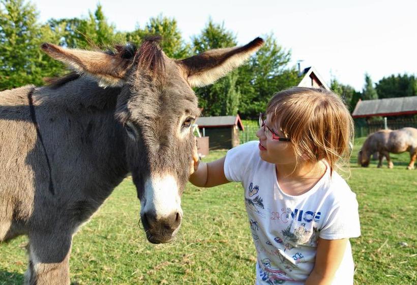 Landhotelrestaurant Beckmann 2