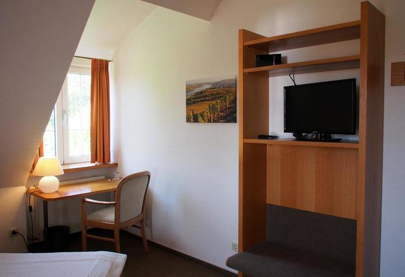 Hotel Villa Spiegelberg 10