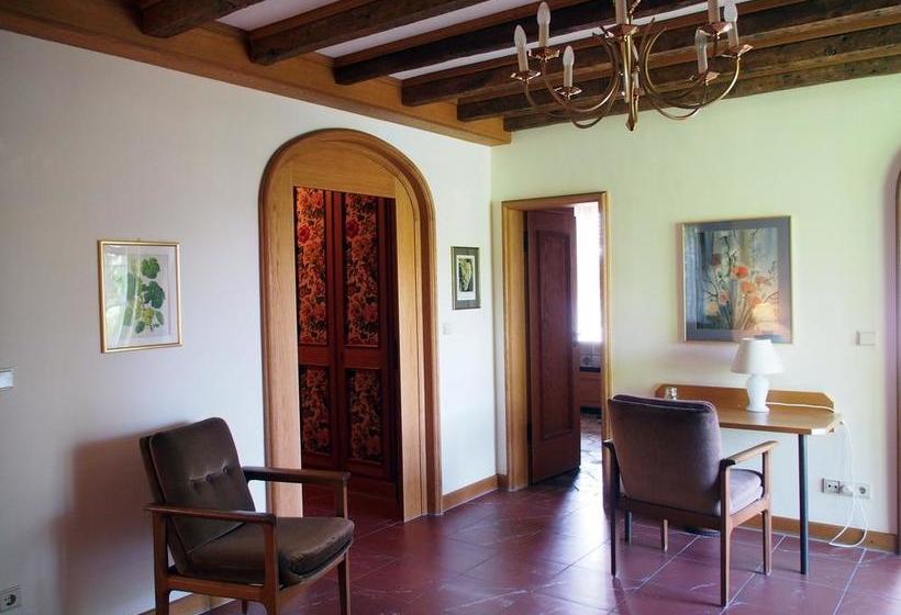 Hotel Villa Spiegelberg 12