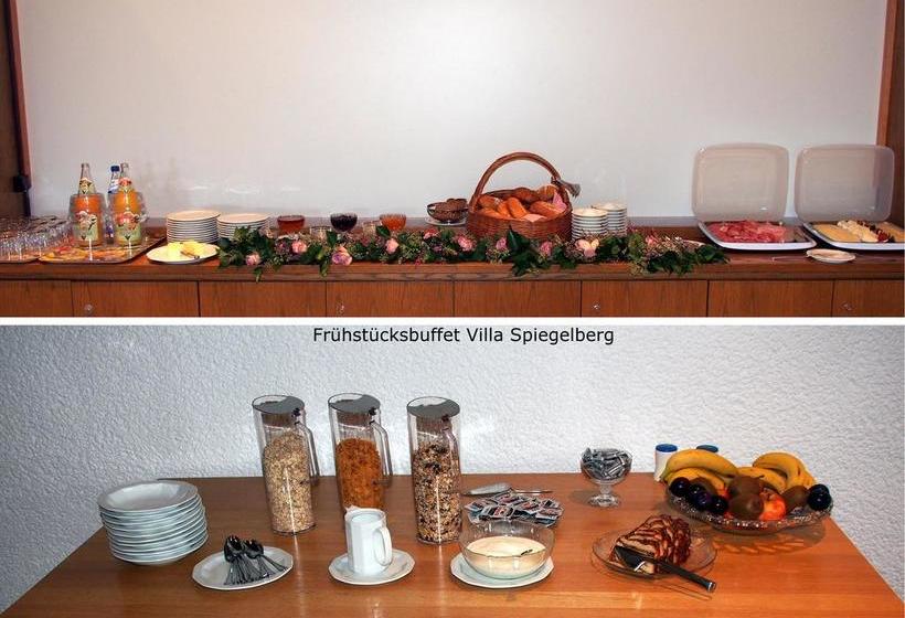 Hotel Villa Spiegelberg 14