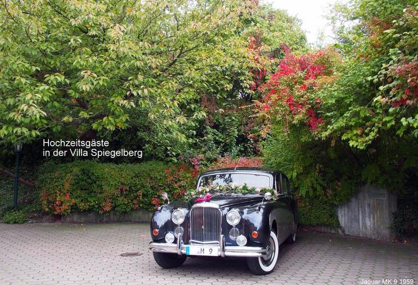 Hotel Villa Spiegelberg 16