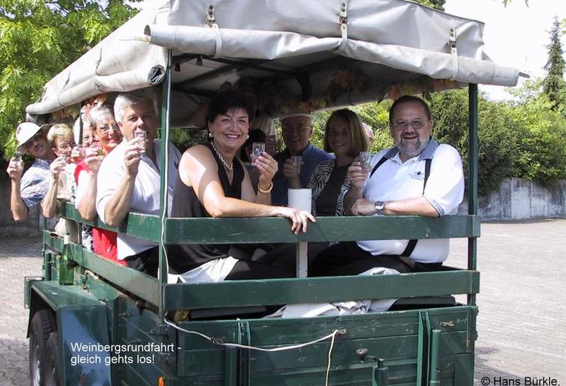 Hotel Villa Spiegelberg 19