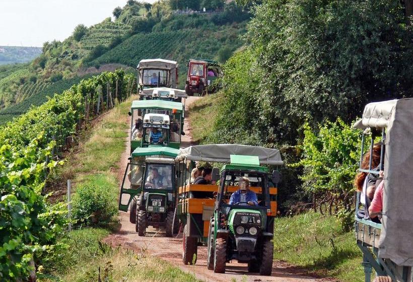 Hotel Villa Spiegelberg 20