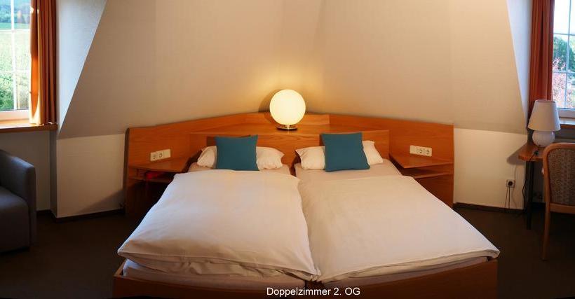 Hotel Villa Spiegelberg 4